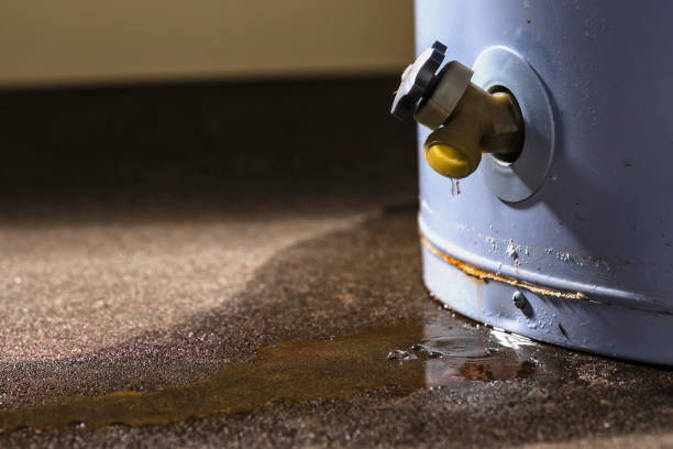 Water damage restoration experts in Marietta Alderwood, WA
