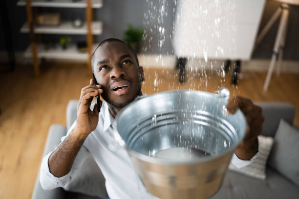Best Carpet water damage restoration  in Marietta Alderwood, WA
