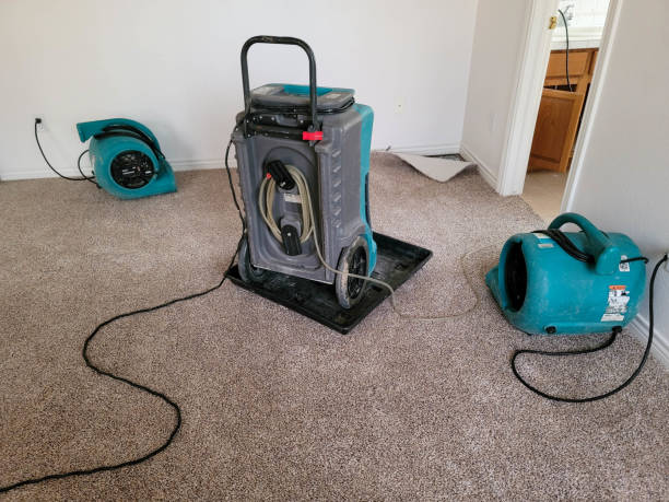 Best Flood damage cleanup  in Marietta Alderwood, WA