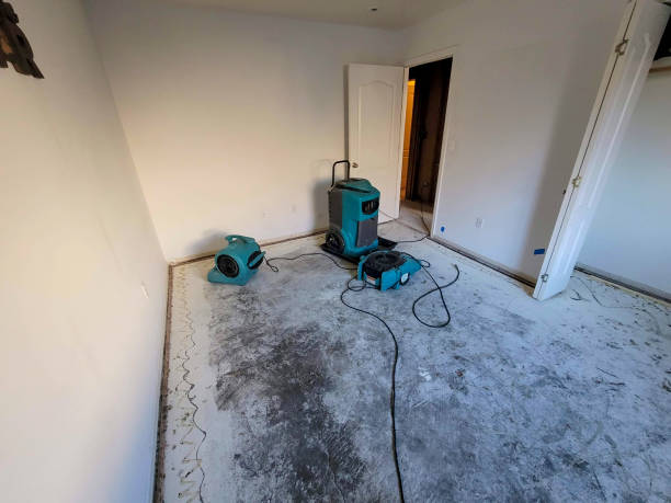 Best Water damage restoration mold remediation  in Marietta Alderwood, WA