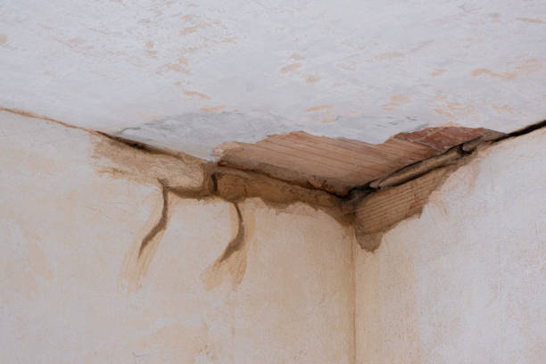 Best Basement water damage restoration  in Marietta Alderwood, WA
