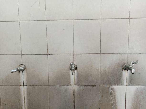 Best 24-hour water damage restoration  in Marietta Alderwood, WA