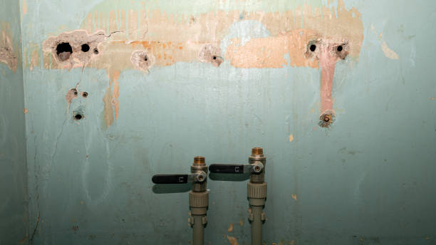 Best Fire Damage Restoration  in Marietta Alderwood, WA