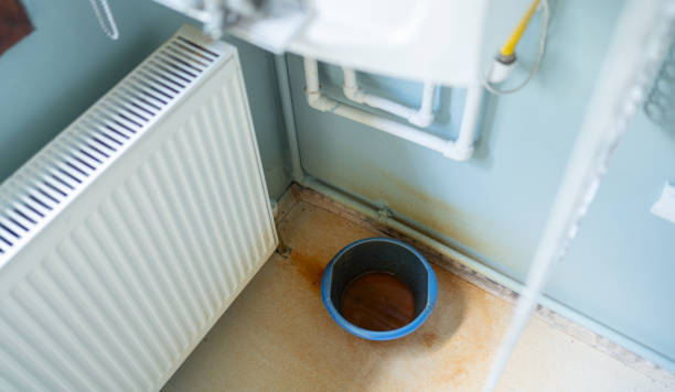 Best Professional water damage repair  in Marietta Alderwood, WA